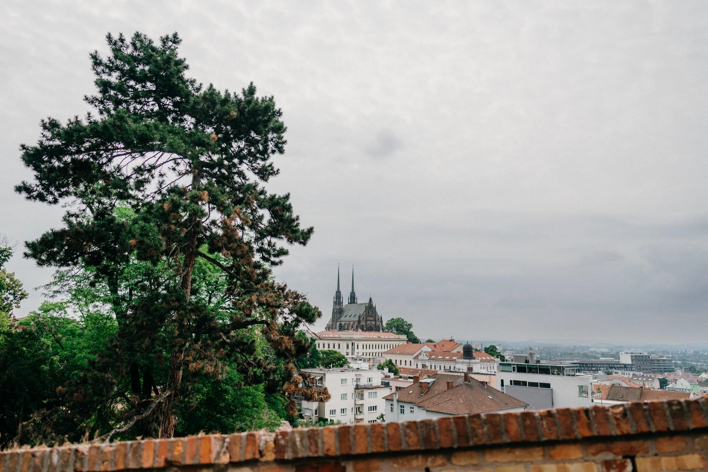 Svatba Hlídka Špilberk Brno - foto 149