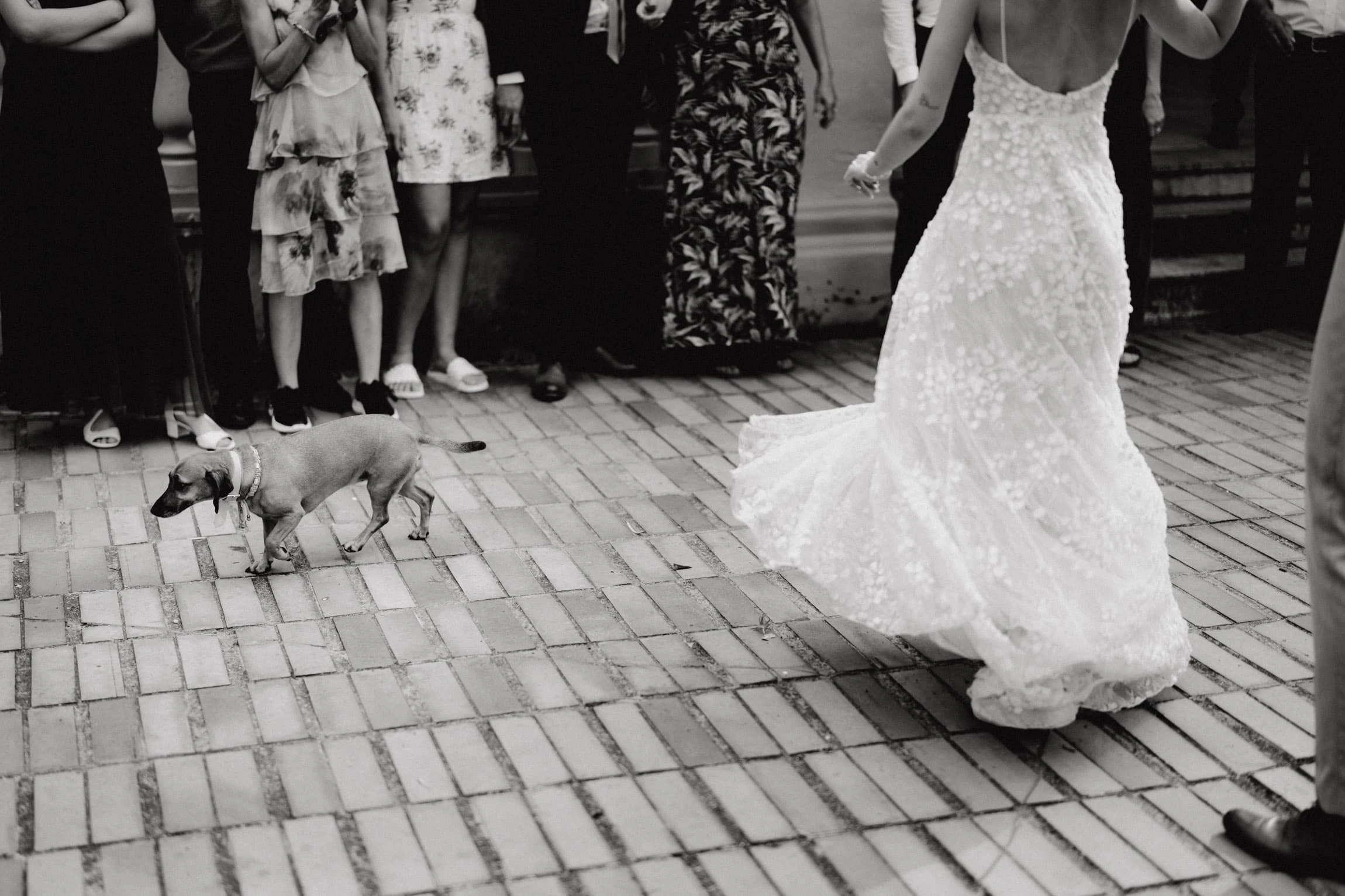 Svatba Hlídka Špilberk Brno - foto 54