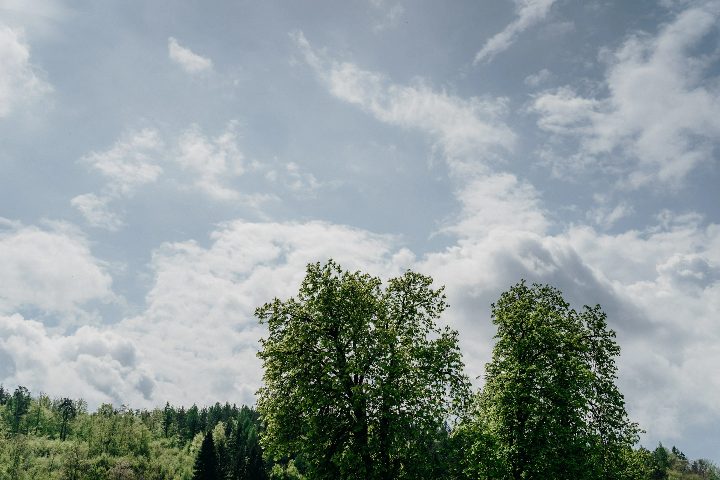 Svatba zámek Křtiny - foto 18