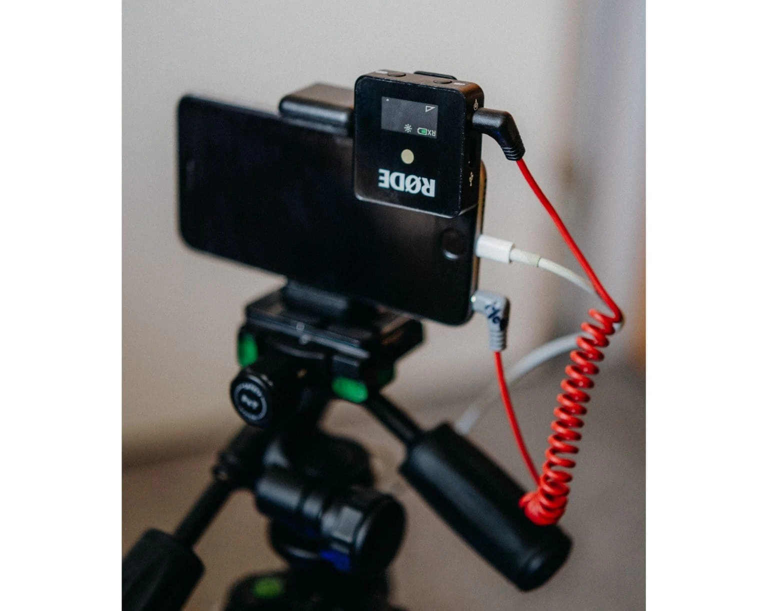 Živý přenos ze svatby pro každého - foto 1