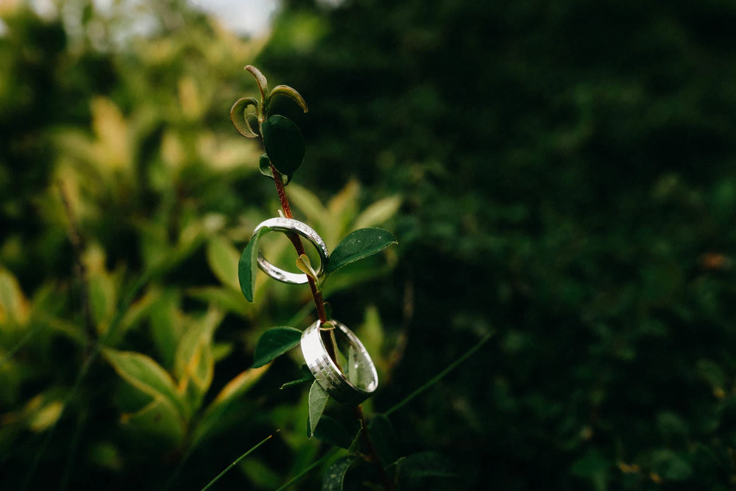 Svatba Hotel Kraví Hora Bořetice + Pálava - foto 4