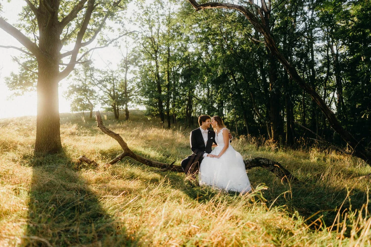 Svatba Hotel Kraví Hora Bořetice + Pálava - foto 91