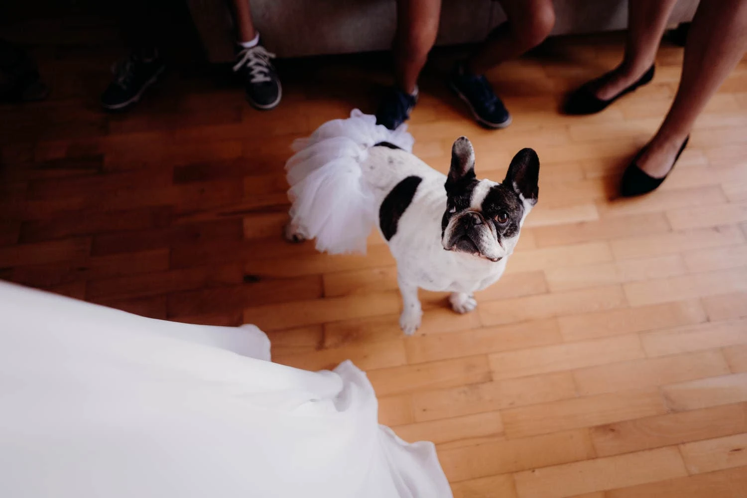 Svatba Kobylí - foto 13