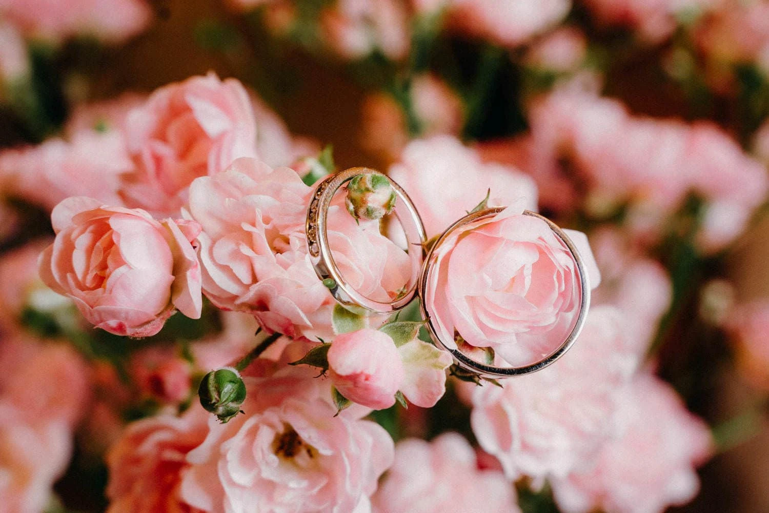 Svatba Lichtensteinská stodola - foto 6