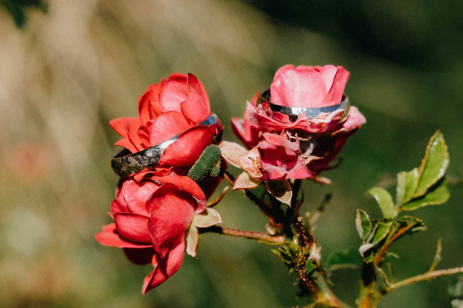 Svatba Pohoda Nárameč - foto 12