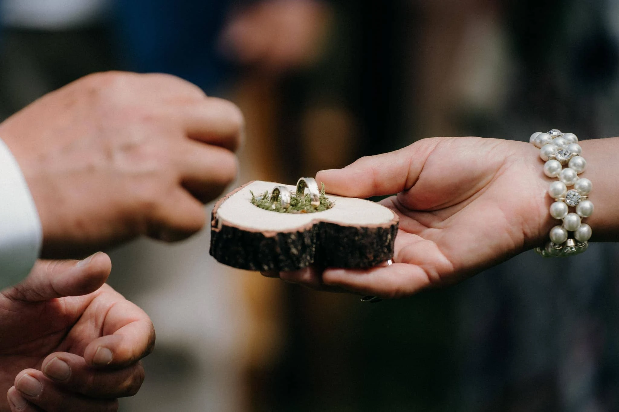 Svatba Obora Trpišov - foto 43