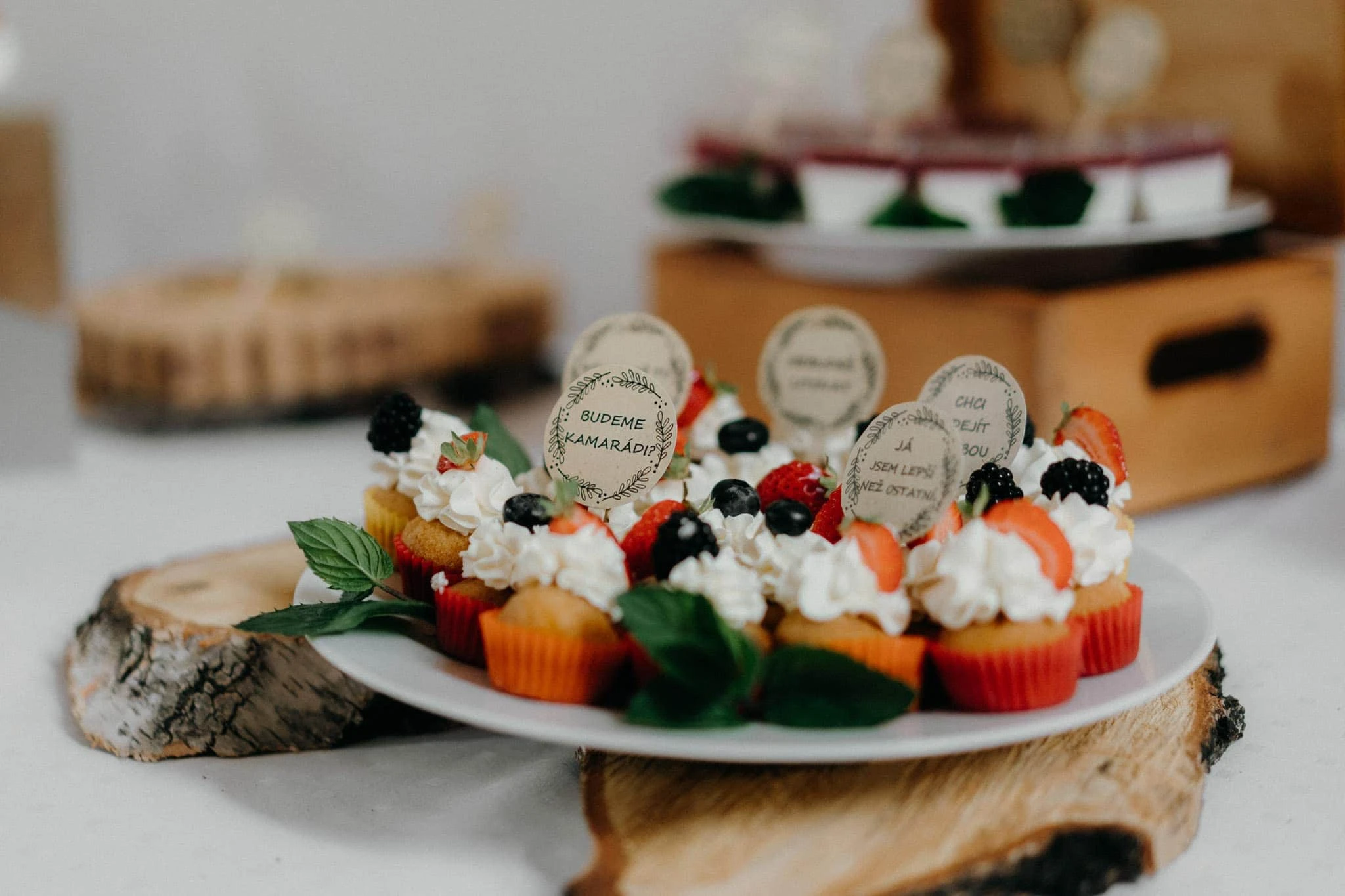 Svatba v&nbsp;Kurdějově u&nbsp;Hustopečí - foto 108