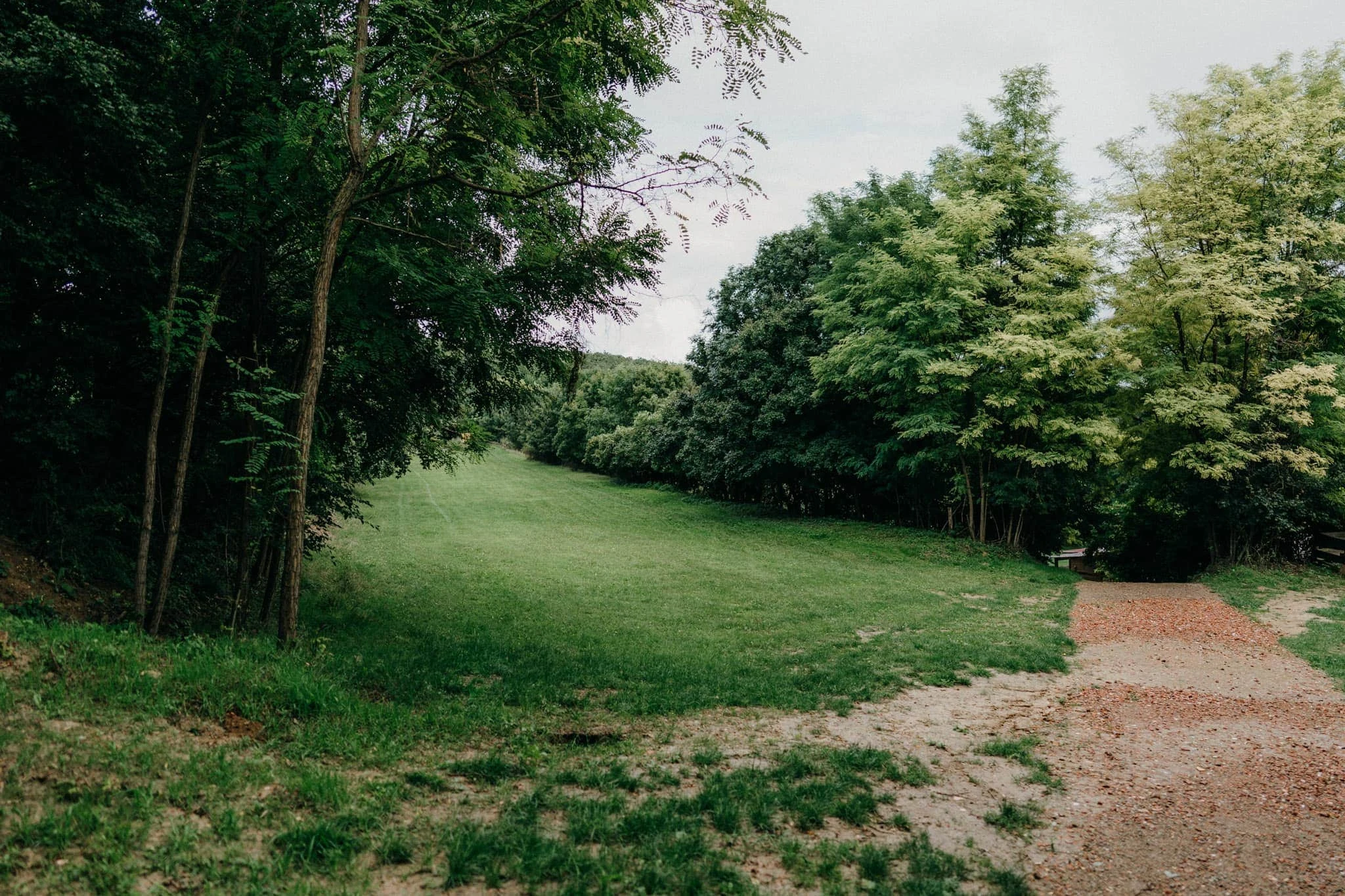 Svatba v&nbsp;Kurdějově u&nbsp;Hustopečí - foto 62