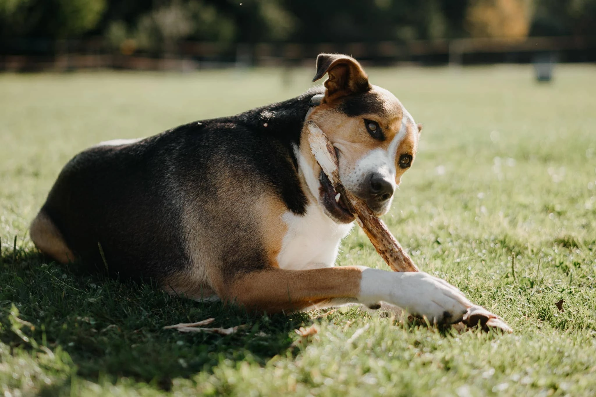 Svatba Vodní mlýn Nejdek - foto 78