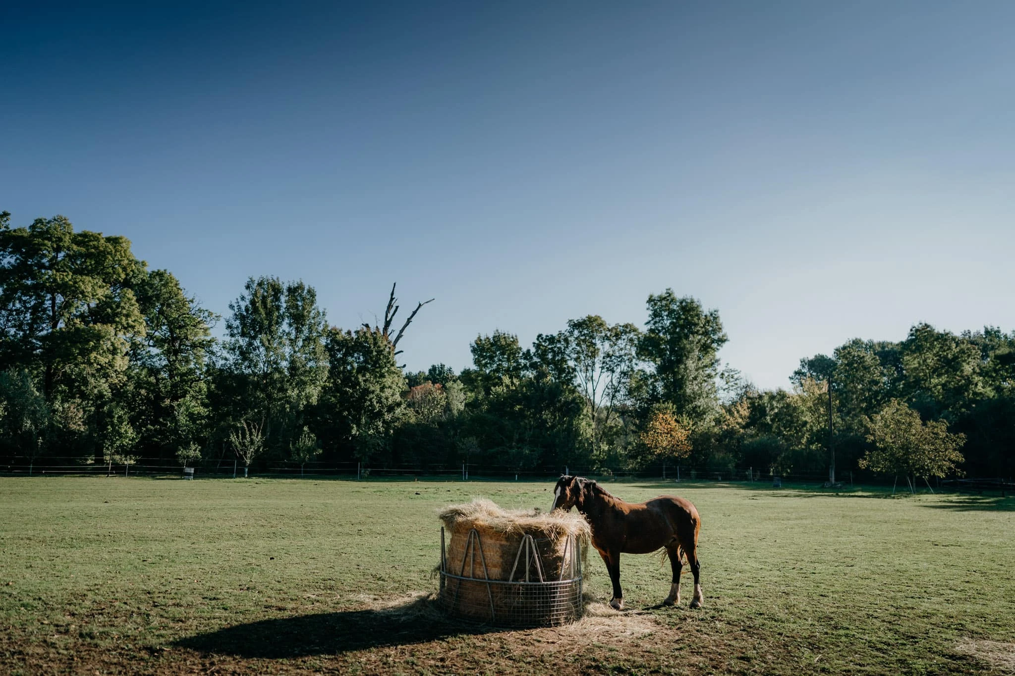 Svatba Vodní mlýn Nejdek - foto 77