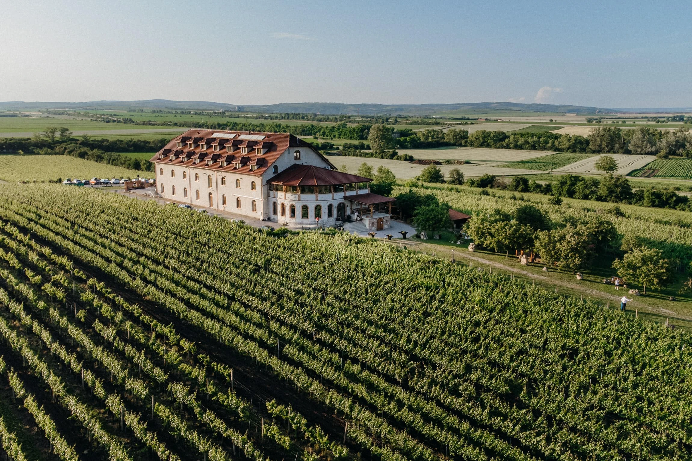 Svatba Vinařský dům Dominant Rakvice - foto 137