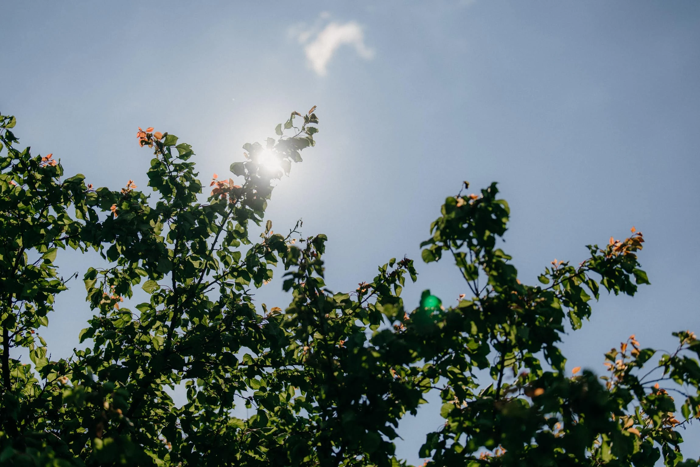 Svatba Vinařský dům Dominant Rakvice - foto 135