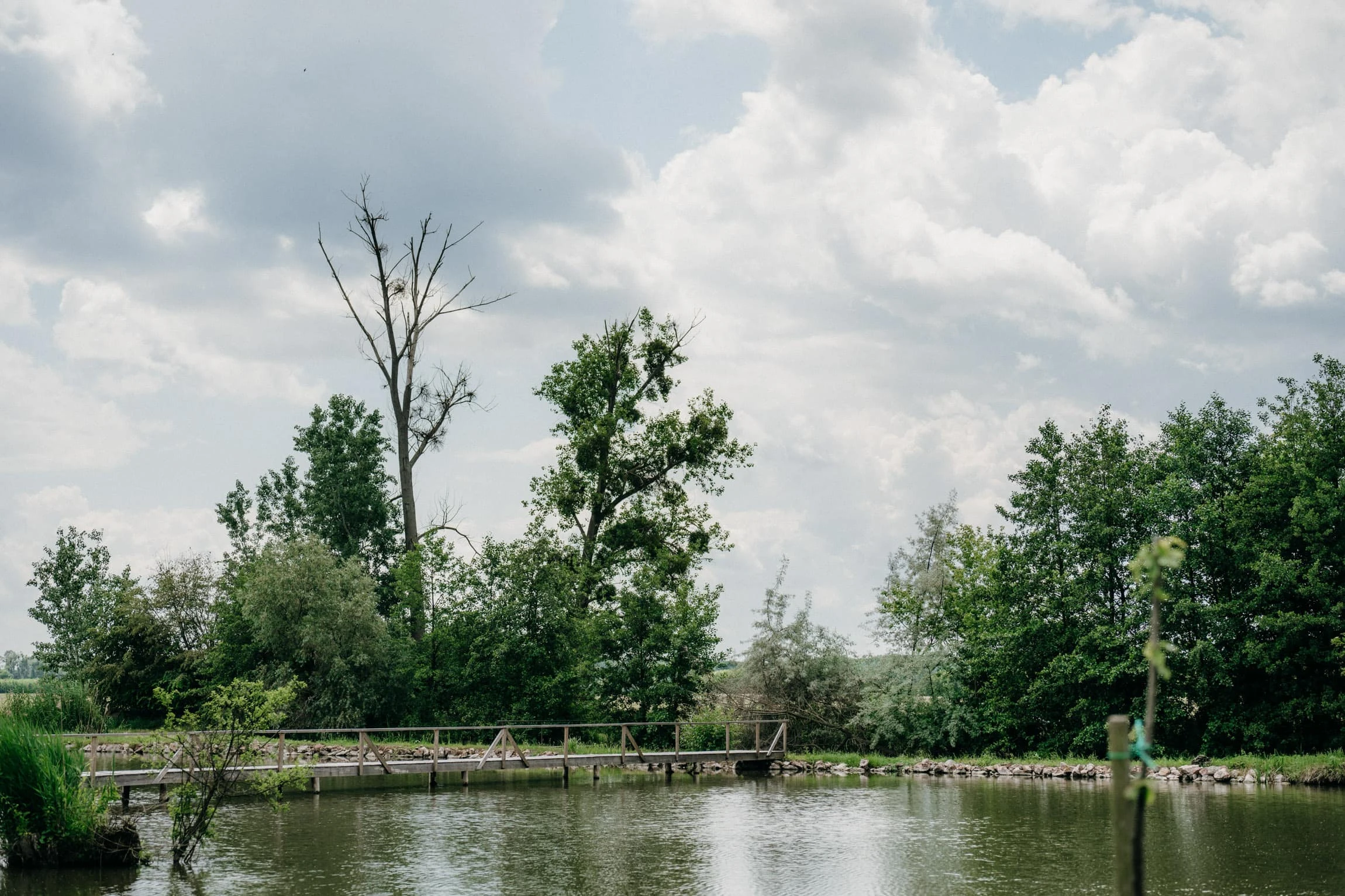 Svatba Vinařský dům Dominant Rakvice - foto 95