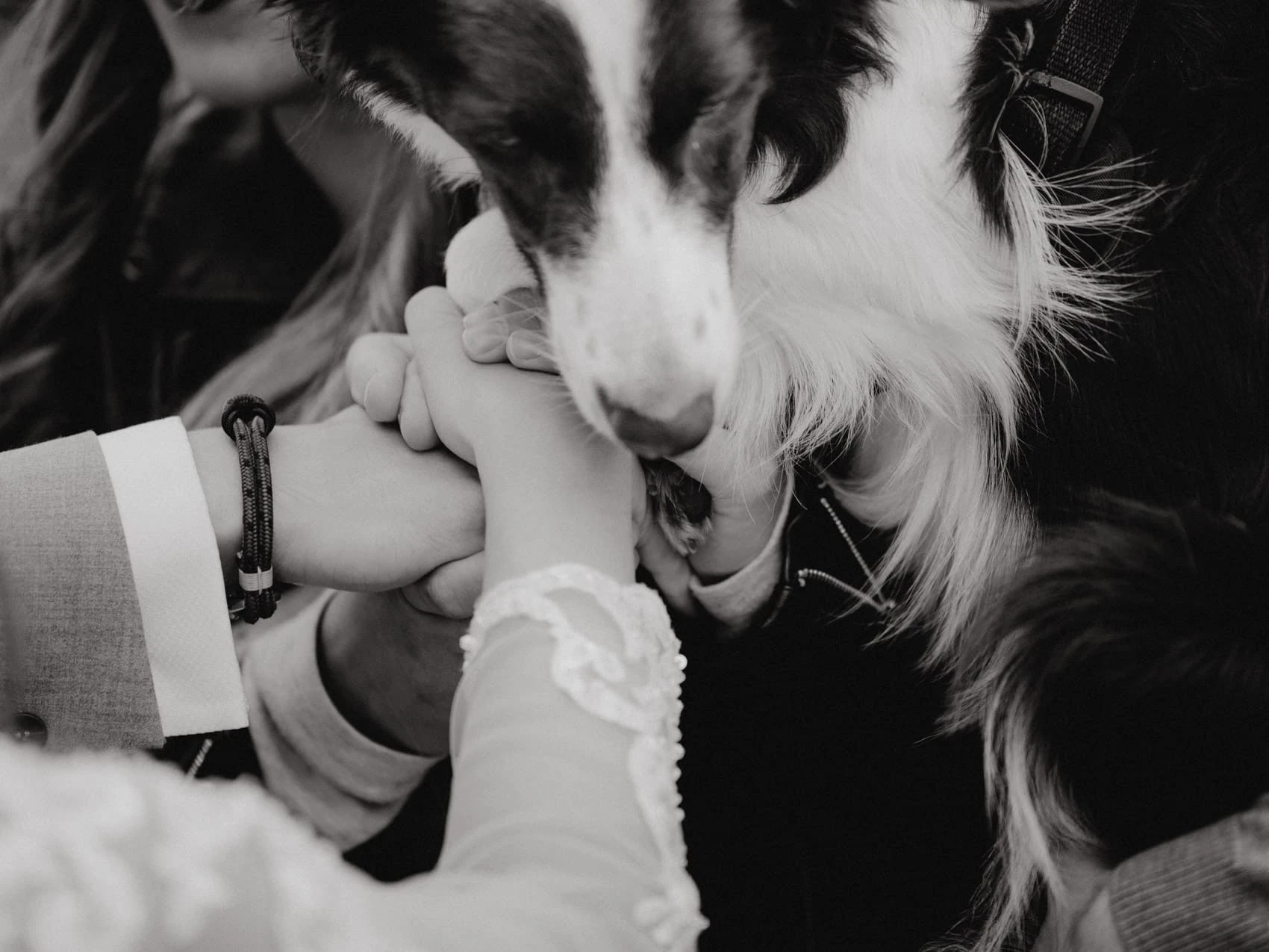 Svatba Borovinka Les Resort - foto 35