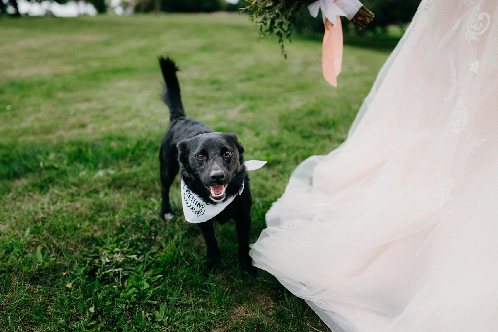 Svatba Borovinka Les Resort - foto 12