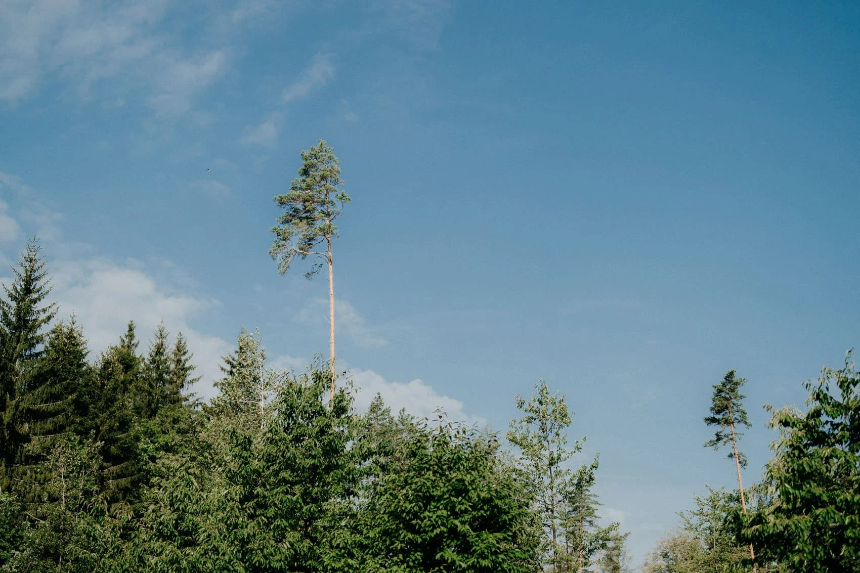 Svatba Penzion Kůlna Jedovnice - foto 166