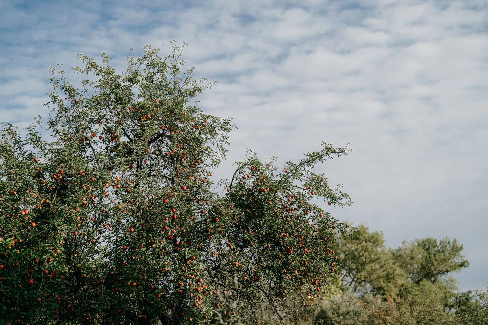 Svatba Statek Heřmanice - foto 3