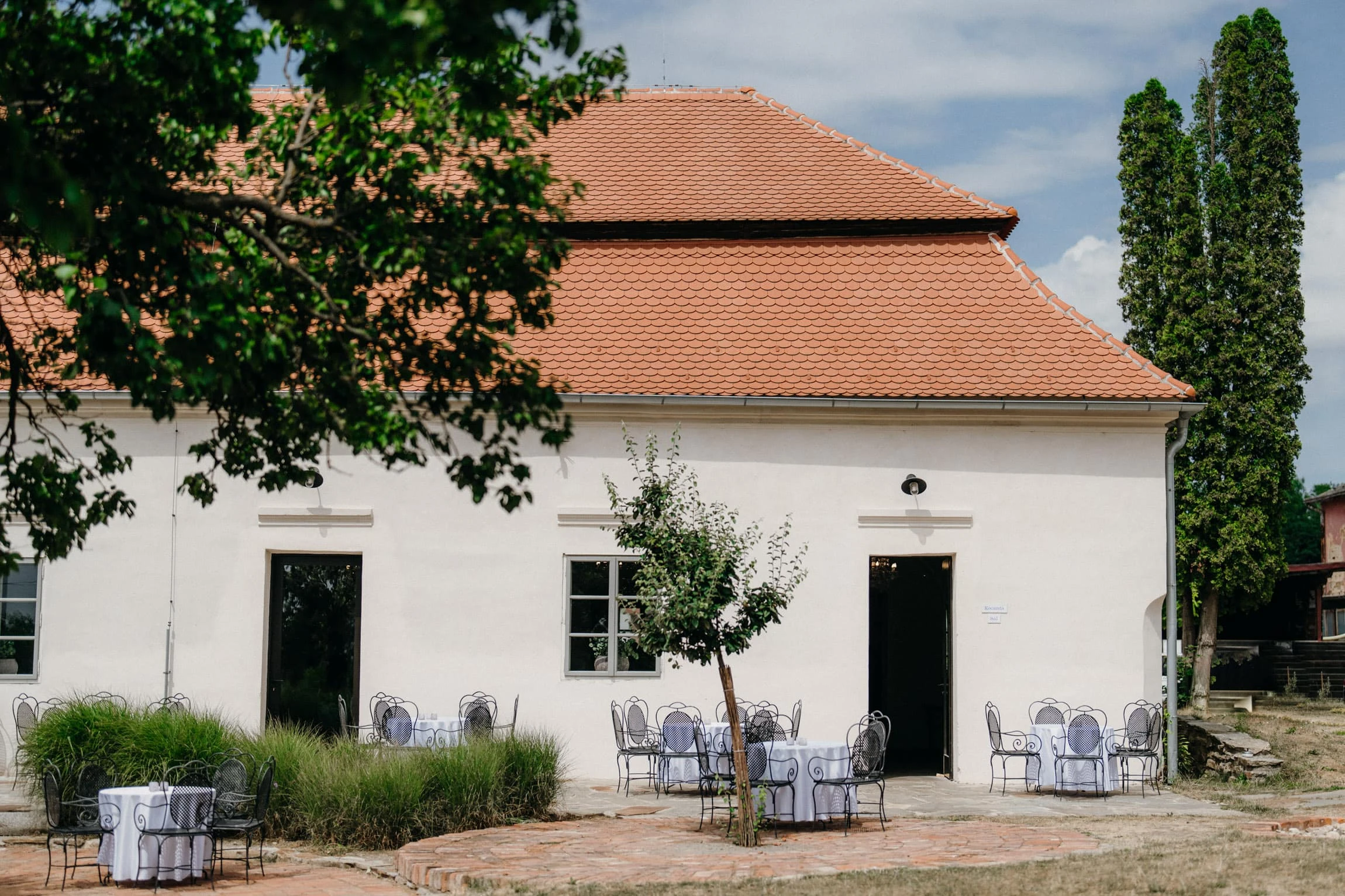 Svatba Kocanda Kravsko - foto 145