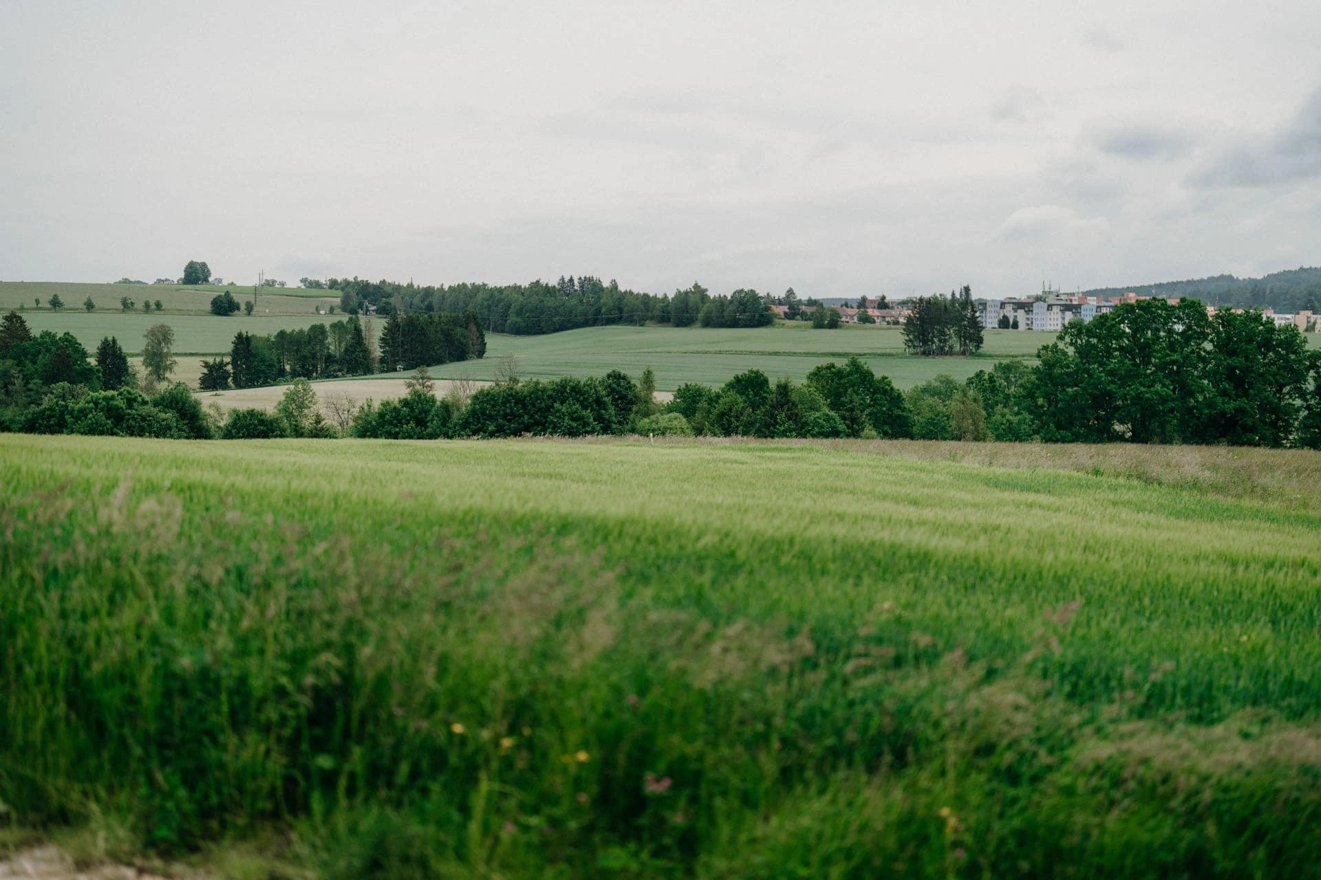 Svatba na samotě u&nbsp;lesa - foto 253