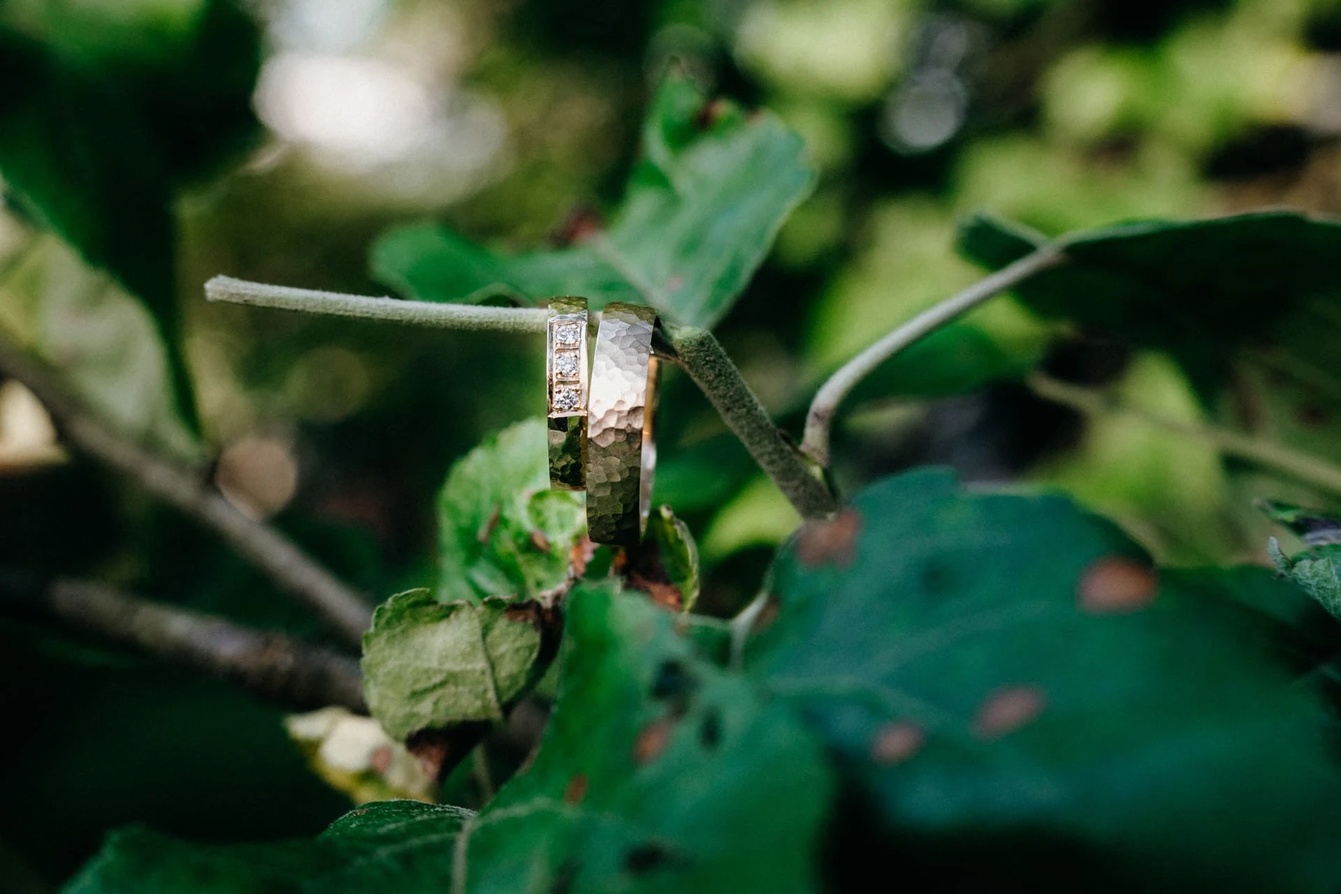 Svatba na samotě u&nbsp;lesa - foto 122