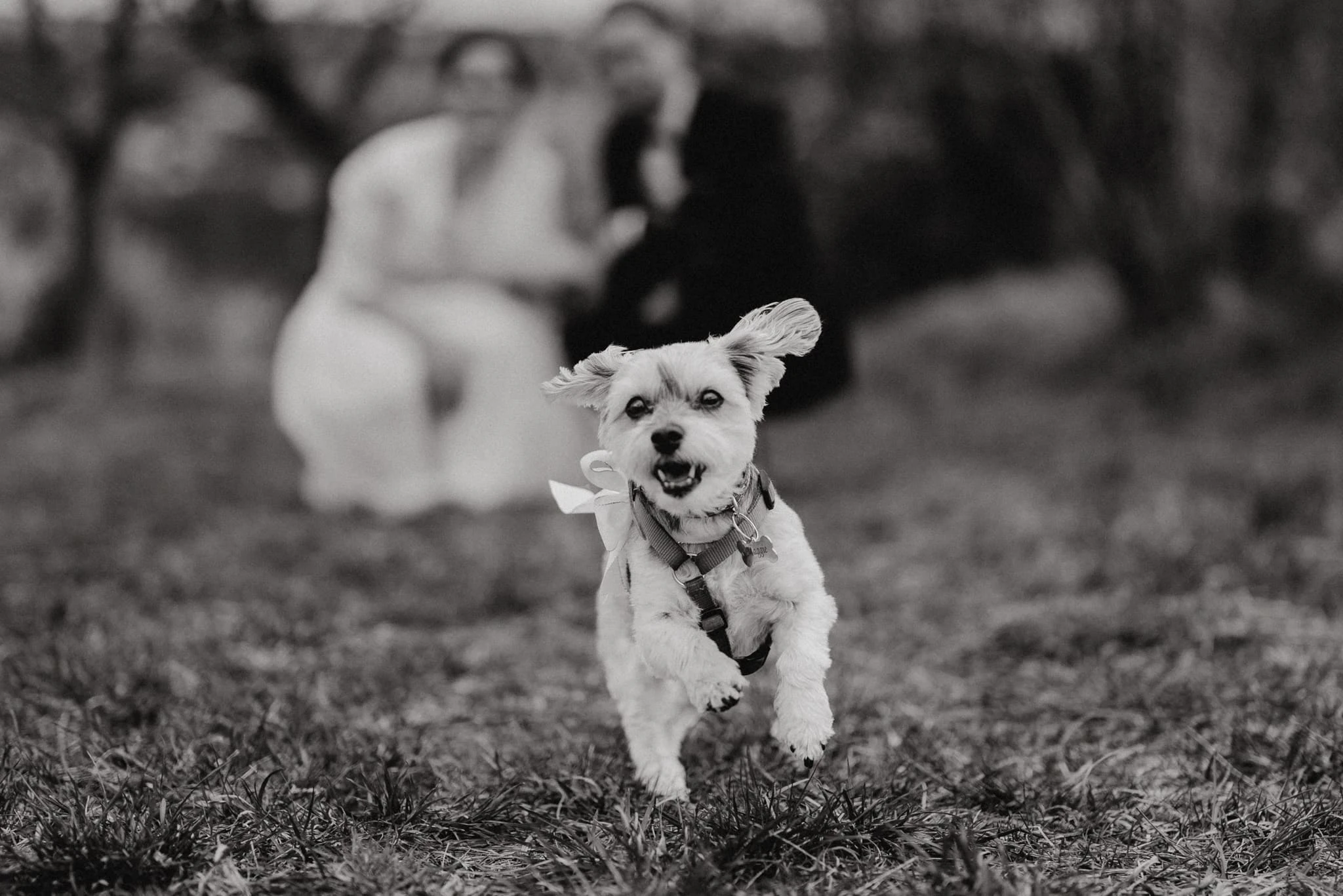 Výběr fotek 2022 - foto 99