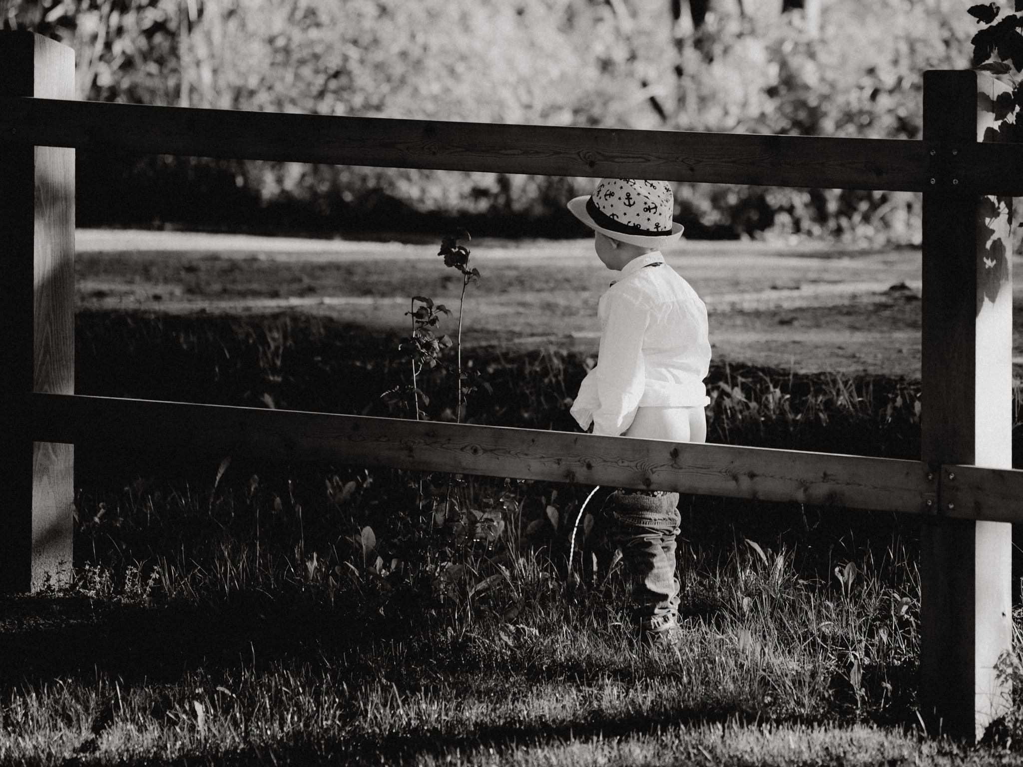 Výběr fotek 2022 - foto 26