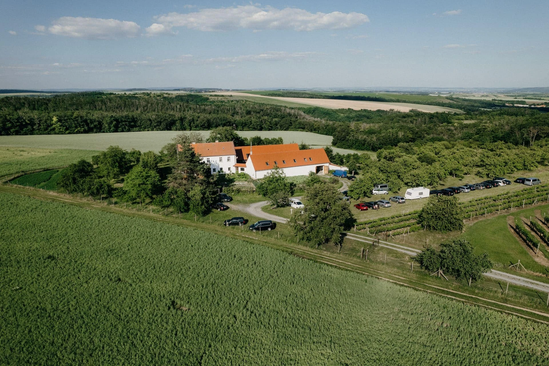 Svatba Samota Karlov - foto 171