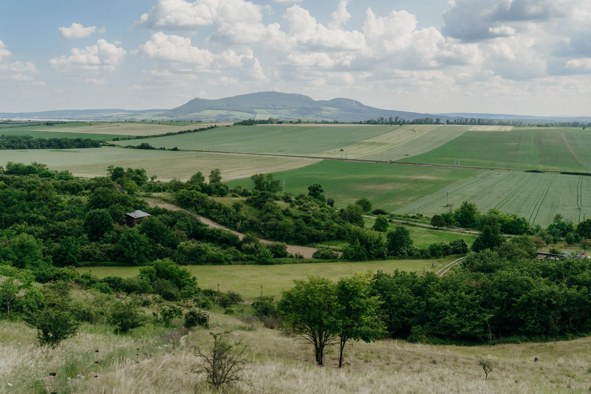 Svatba Ambrožův dvůr Pouzdřany - foto 16