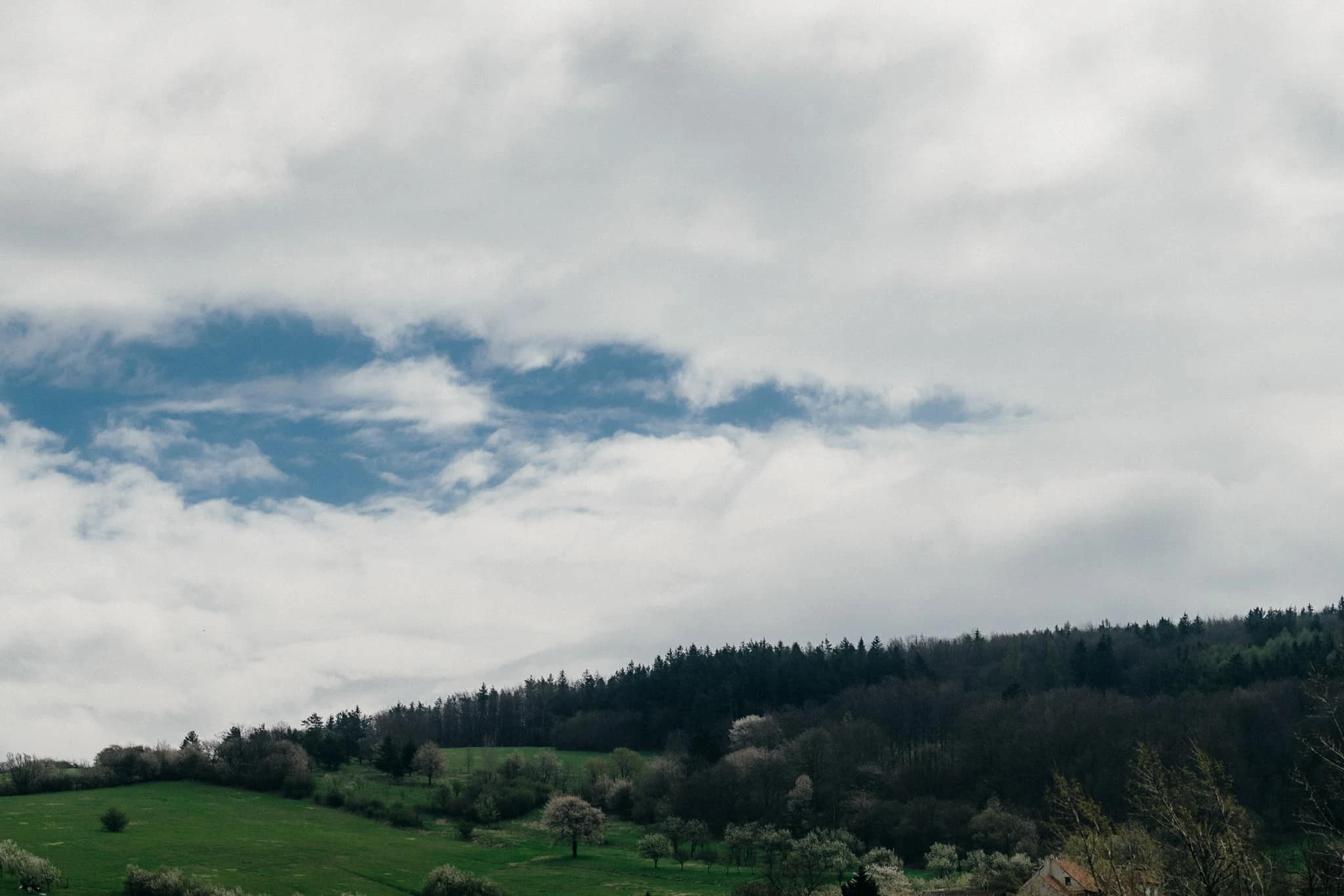 Svatba Hotel Háj Nová Lhota - foto 101