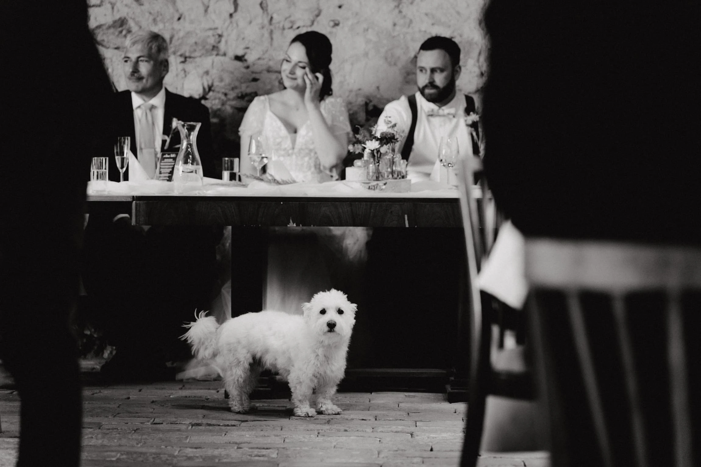 Svatba Stodola Rudice - foto 65