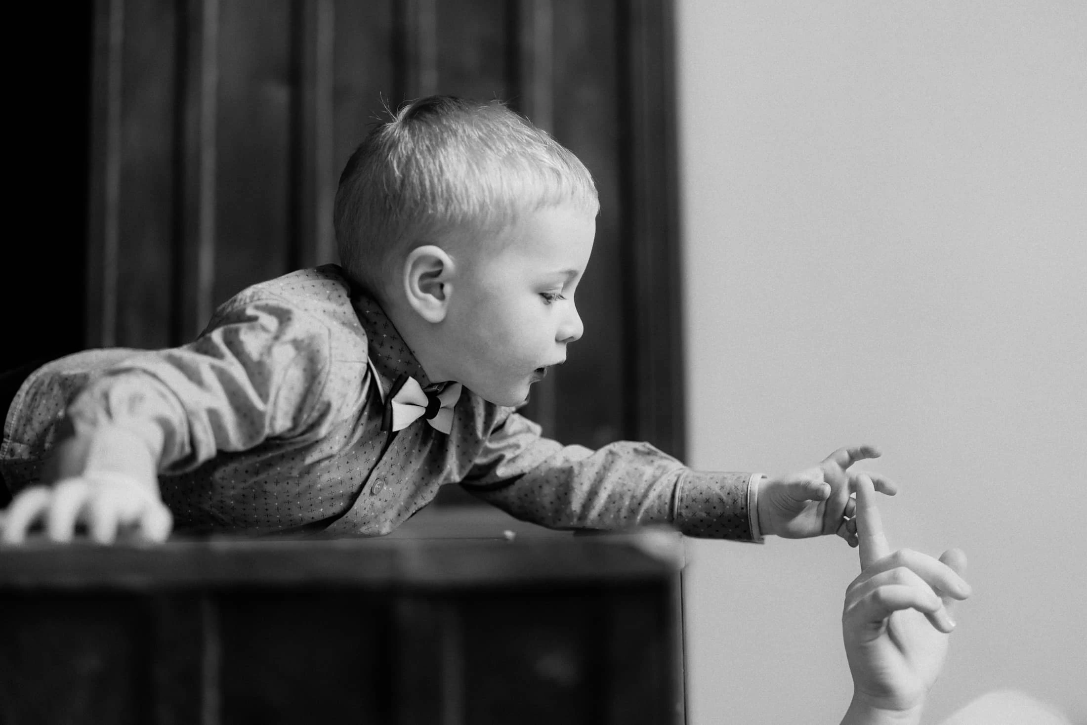 Výběr svatebních fotek 2023 - foto 2