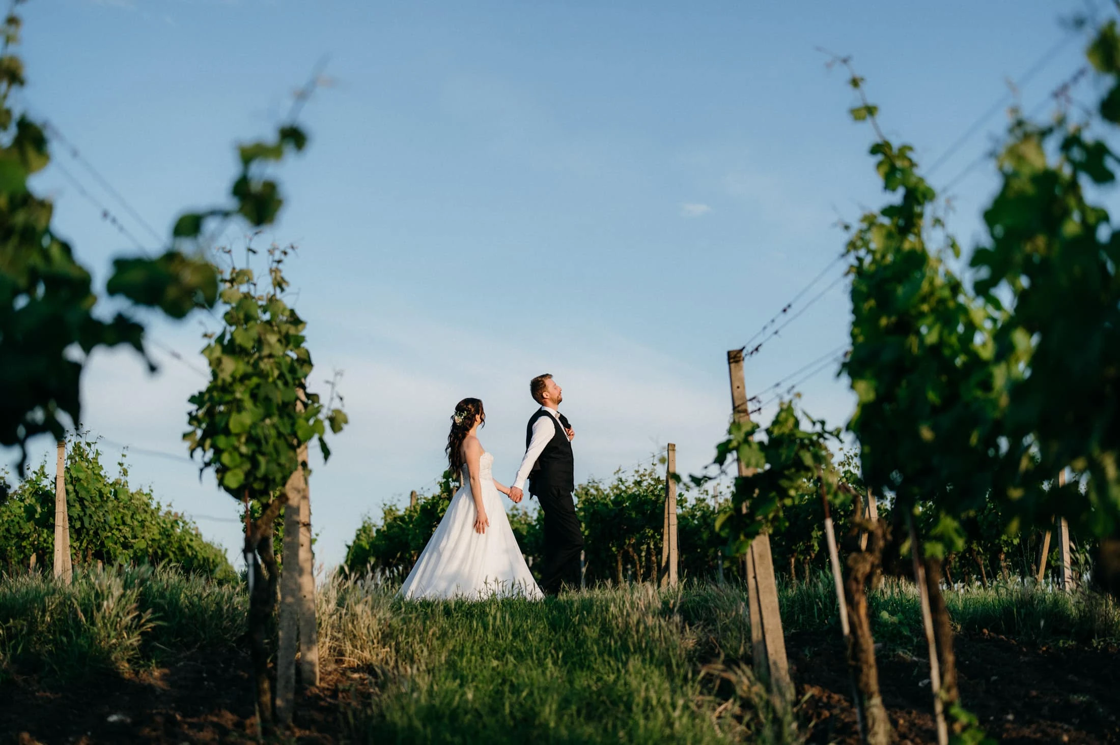 Výběr svatebních fotek 2023 - foto 30