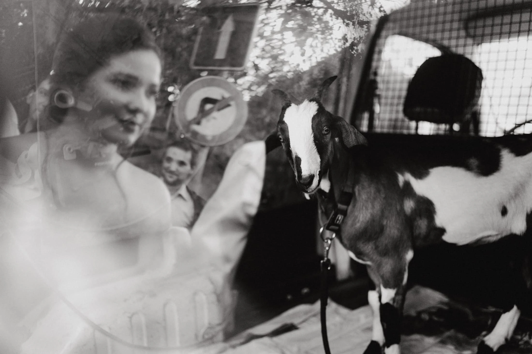 Výběr svatebních fotek 2023 - foto 50