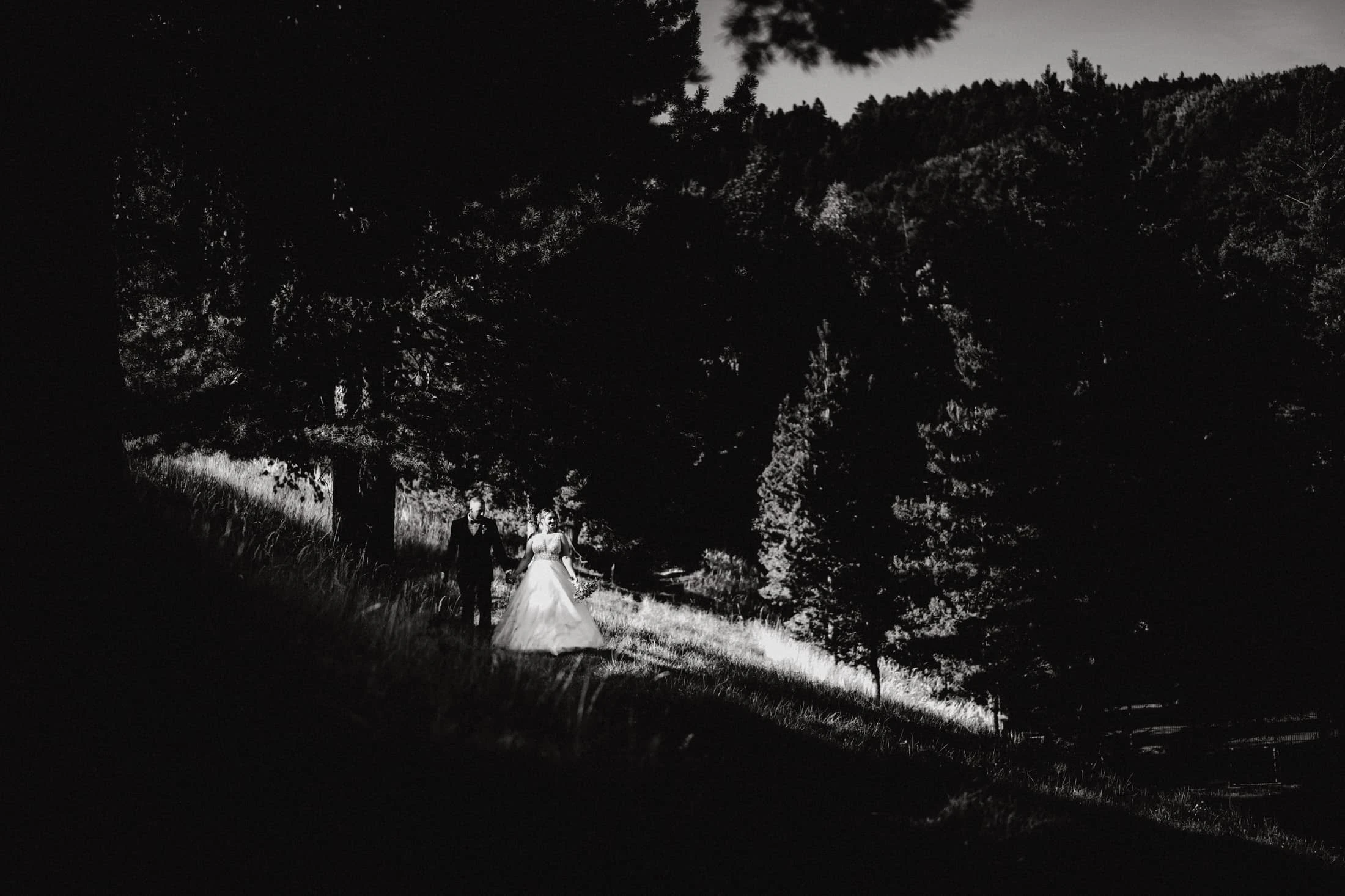 Výběr svatebních fotek 2023 - foto 64