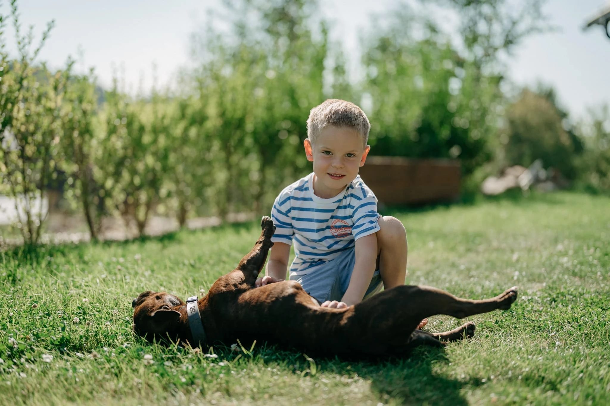 Svatba Apartmány Na Smrčku - foto 103