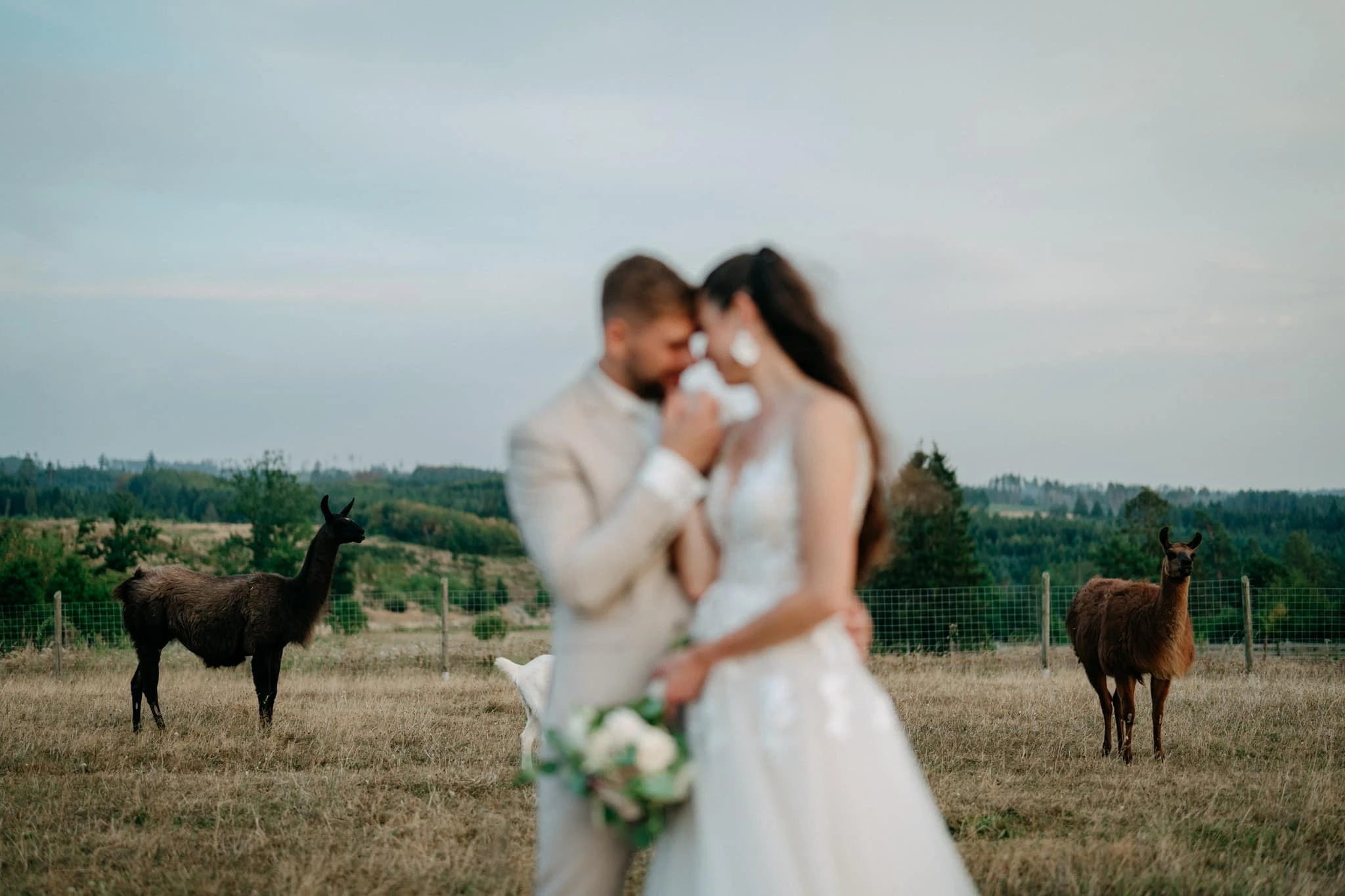 Svatba U&nbsp;Srubu Boskovice - foto 29