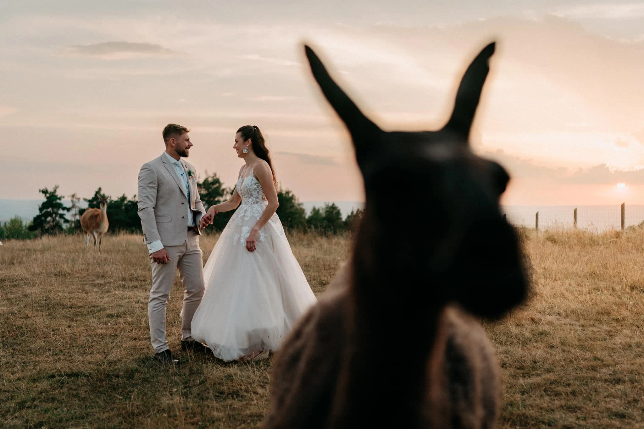 Svatba U&nbsp;Srubu Boskovice - foto 28