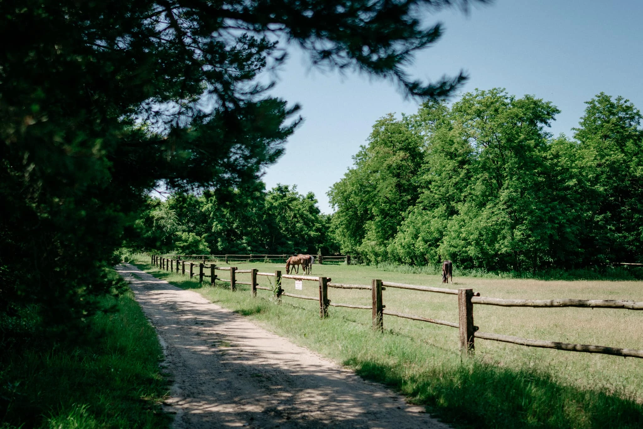 Svatba Usedlost Na Stovce - foto 61