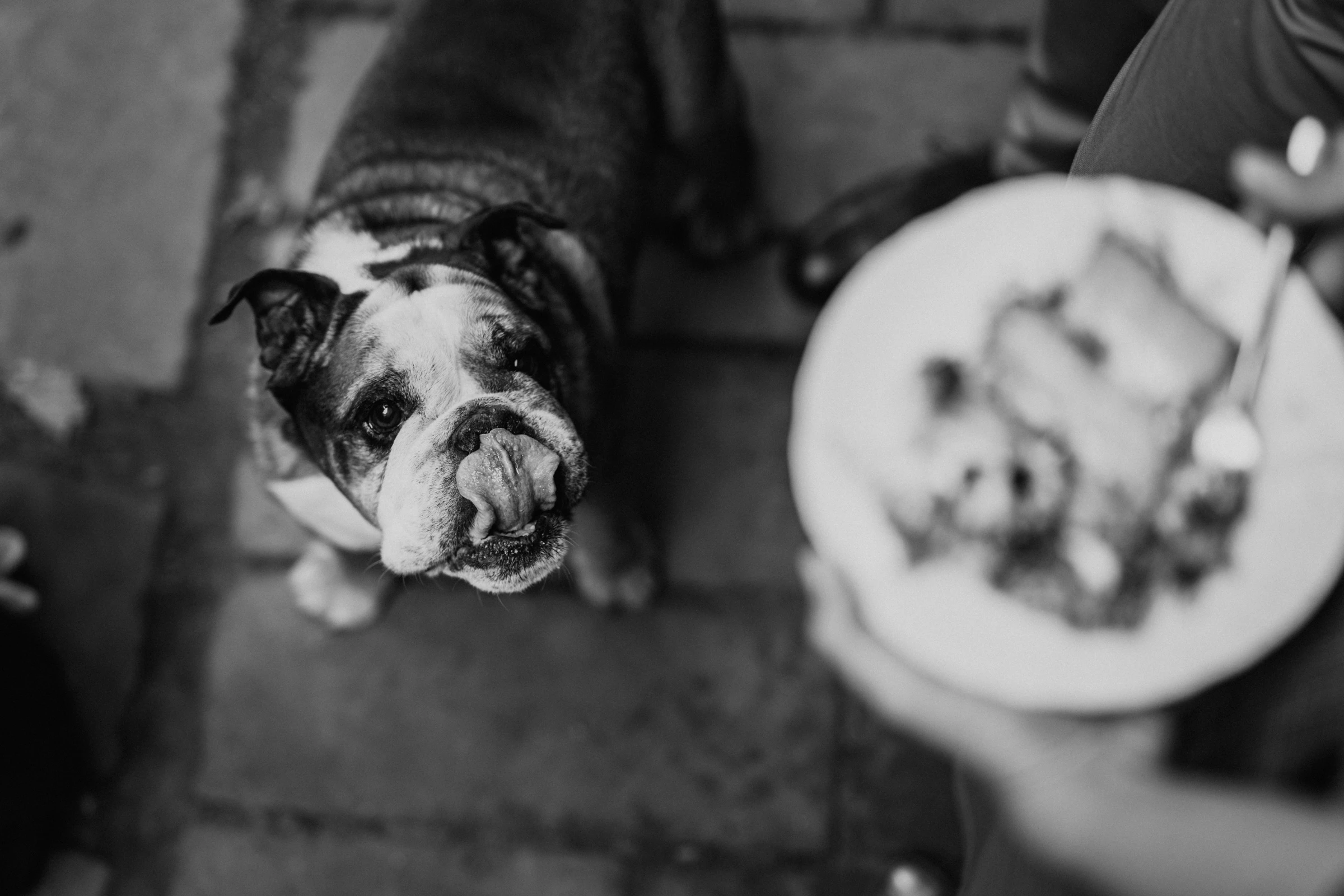 Výběr svatebních fotek 2024 - foto 69