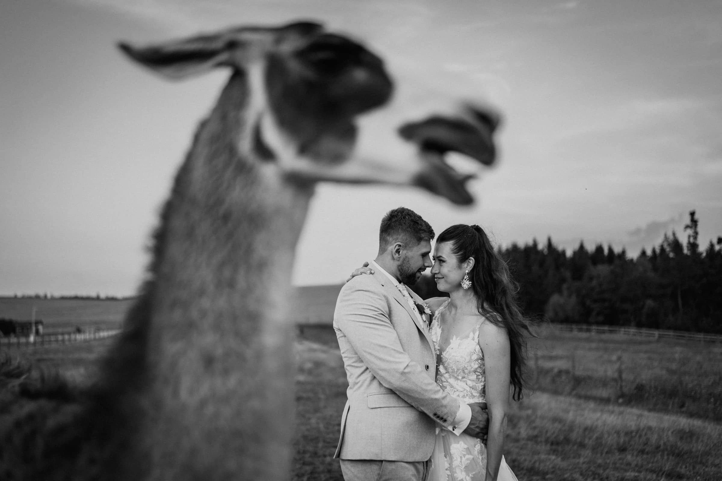 Výběr svatebních fotek 2024 - foto 19