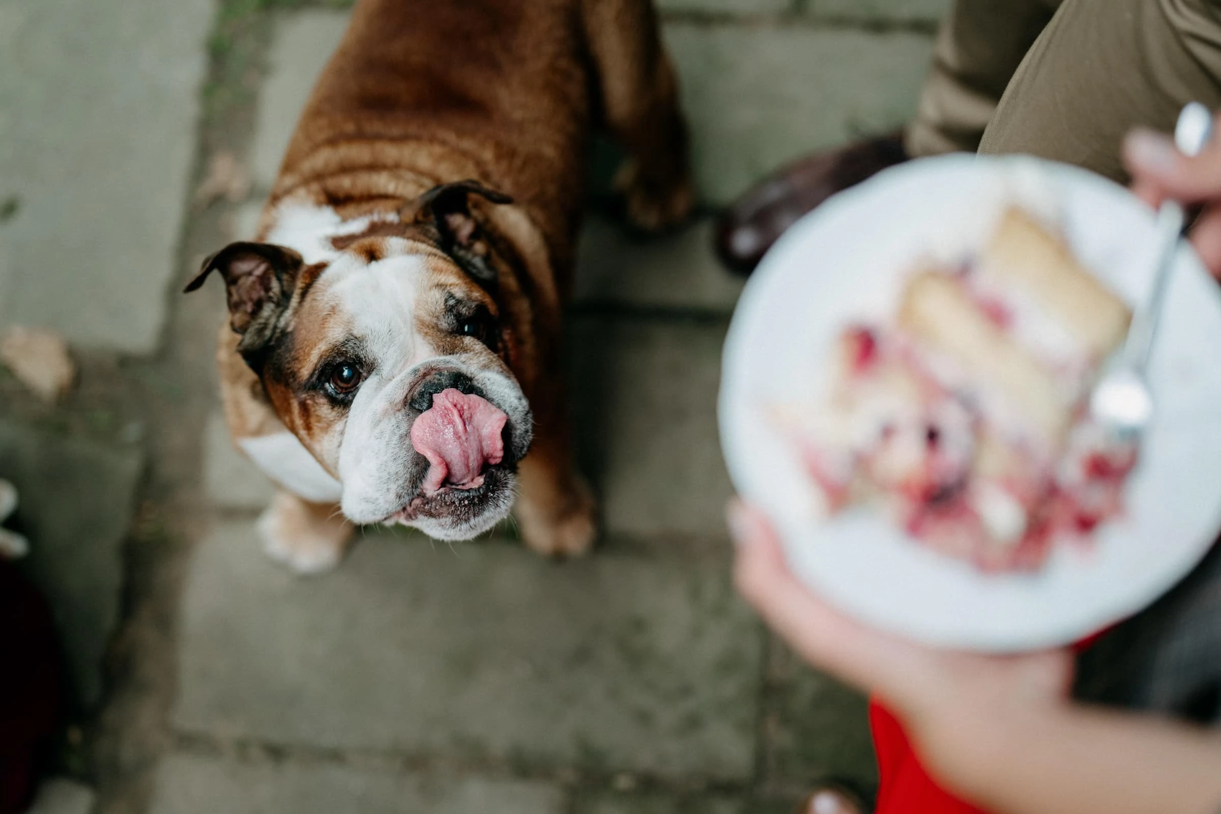 Novomanželé tančí pod hvězdami