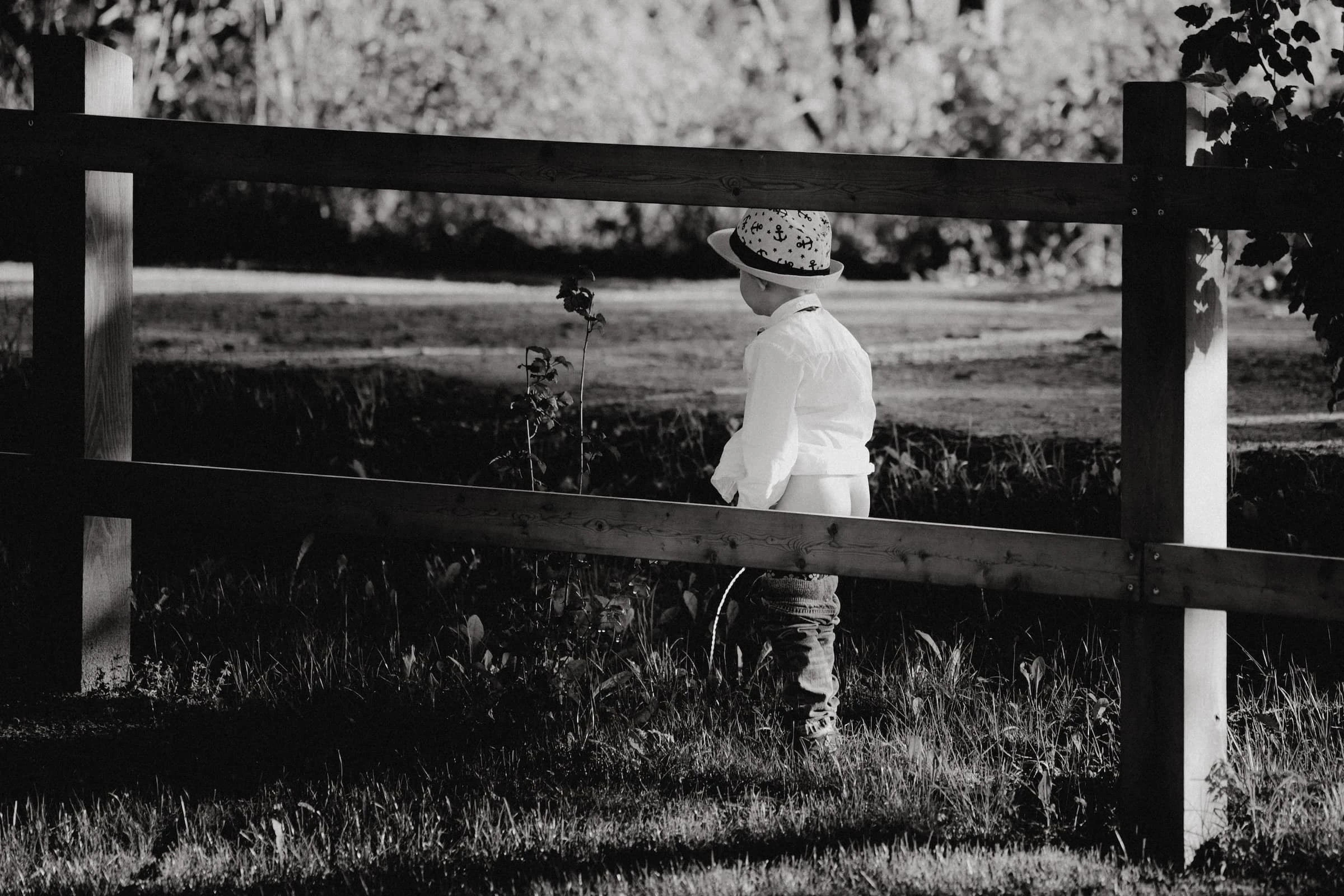 Novomanželé procházejí alejí stromů